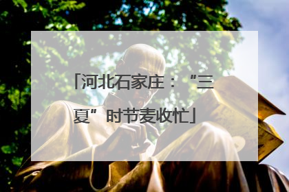 河北石家庄：“三夏”时节麦收忙